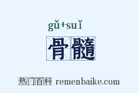 骨髓是什么意思的图片